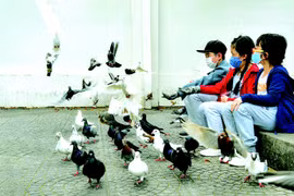 Dịch bệnh thay đổi chúng ta