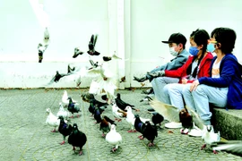 Dịch bệnh thay đổi chúng ta