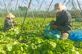 Sở Nông nghiệp và PTNT tỉnh Gia Lai kêu gọi hỗ trợ người dân tiêu thụ nông sản