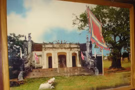 Truyền thuyết ly kỳ về trâu trắng