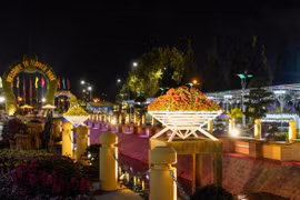 Vườn hoa Đà Lạt lung linh huyền ảo vào ban đêm