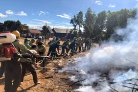 Quản lý, bảo vệ rừng ở Gia Lai: Cần giải pháp quyết liệt, căn cơ