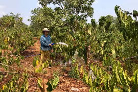 Đức Cơ tích cực kiểm soát nguồn nước ngầm