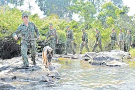 Xuân trên chốt tuần tra