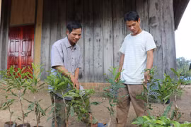 Đinh Văn Váo: Cán bộ "nói được, làm được"