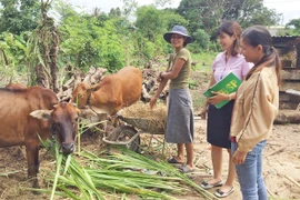 "Cần câu" cho hộ mới thoát nghèo