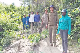 Đất Bằng huy động sức dân bảo vệ rừng