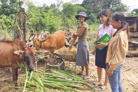 "Cần câu" cho hộ mới thoát nghèo