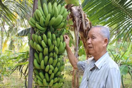 Người Giồng Trôm thương tiếc nguyên Phó Thủ tướng Trương Vĩnh Trọng