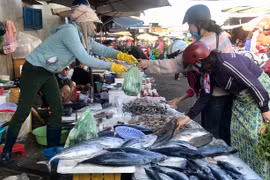 Thị trường thực phẩm Pleiku: Sức mua tăng nhưng giá vẫn ổn định