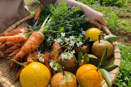 Bỏ phố về quê, nàng Mây khiến nhiều người ao ước với vườn cây trái sum suê