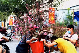 Xuân của niềm tin và hy vọng