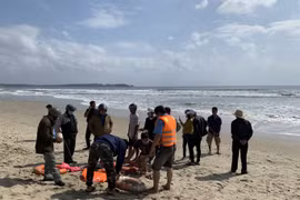 Quảng Ngãi: Hai người bị sóng biển cuốn mất tích