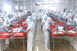 Đầu năm nghe doanh nghiệp kể chuyện vượt "bão" Covid-19