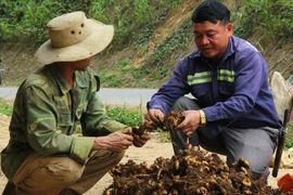 Chàng trai làm thay đổi cuộc sống của người dân