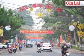 Gia Lai rộn ràng ngày cuối năm