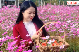 Sắc xuân trên vườn dâu Nghĩa Hưng