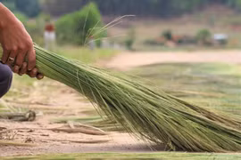 Muốn dân giàu thì cán bộ cũng phải giàu