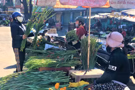 Đầu xuân đi chợ cầu may