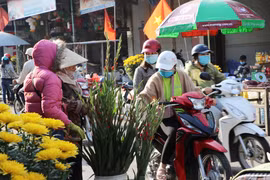 Gia Lai mùng 3 Tết nắng đẹp người dân hân hoan