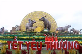 Bình Định: Hàng loạt sự kiện văn hóa nghệ thuật dịp Tết bị hủy