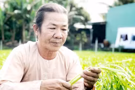 Hạnh phúc của "ông vua rau muống"