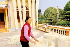 Gìn giữ nghề mây truyền thống