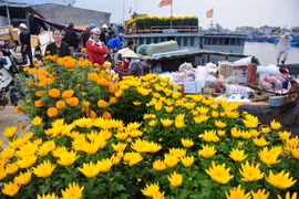 "Chở Tết" ra đảo tiền tiêu Lý Sơn