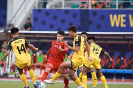 Năm tuổi và khát khao của chú "trâu vàng"