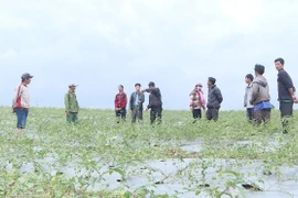 Kông Chro đẩy mạnh phong trào "Dân vận khéo"