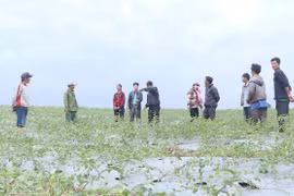 Kông Chro đẩy mạnh phong trào "Dân vận khéo"