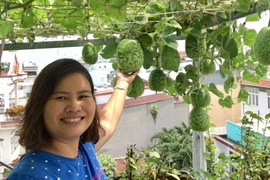 'Hết hồn' với vườn nông sản sân thượng bội thu của mẹ bỉm sữa