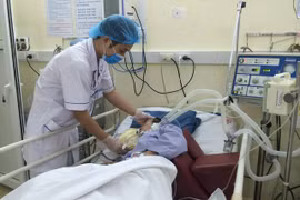 Nguy kịch tính mạng vì tự đắp lá chữa mụn nhọt