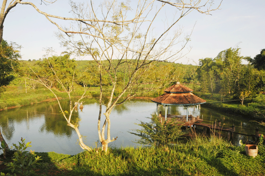 Tìm sang cả ngay trên rẫy vườn