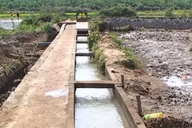 Chư Pah chủ động nước tưới cho cây trồng