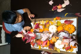 Mẹ Việt ở Mỹ trồng vườn hoa 800m2 giúp con vượt qua bệnh tự kỷ