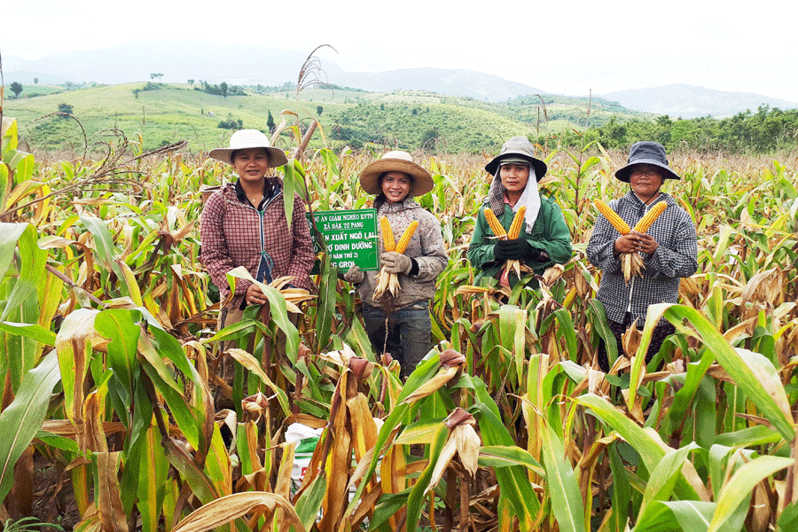 Hỗ trợ hộ nghèo phát triển kinh tế