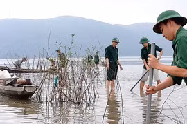 Bài 2: "Chìa khóa" chống sạt lở