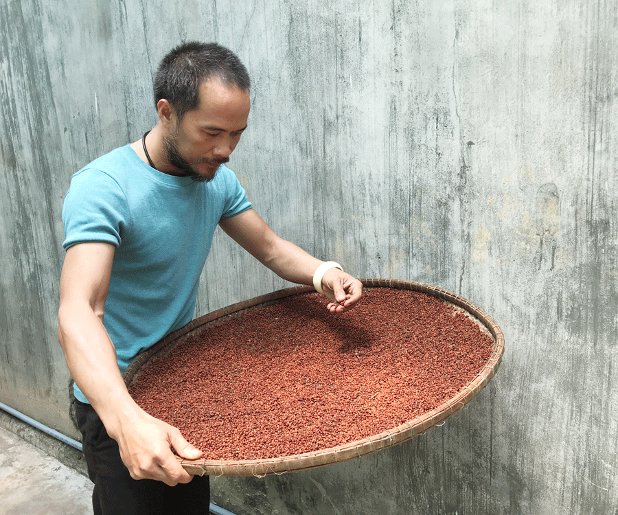 Về Đak Glei nếm muối sao