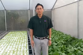 Nuôi tôm trên... cạn