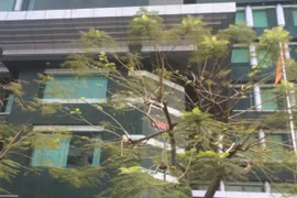 Tạm đình chỉ công việc nhà báo Anh Thoa