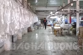 Vì cả tin, nhiều người bị nữ DN "ẵm" gần chục tỷ đồng biến mất