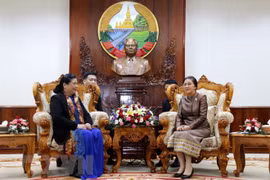 Lãnh đạo Đảng, Chính phủ Lào tiếp Đoàn cấp cao Quốc hội Việt Nam