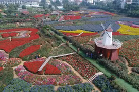 "Thiên đường" hoa giữa lòng Hà Nội