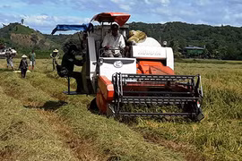 "Hạt ngọc" cao nguyên