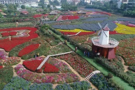 "Thiên đường" hoa giữa lòng Hà Nội