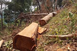 Kiểm điểm UBND xã Ia Kreng vì để xảy ra khai thác rừng trái phép