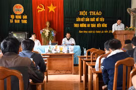 Liên kết sản xuất hồ tiêu theo hướng an toàn, bền vững