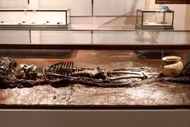 Báu vật khảo cổ học Việt Nam