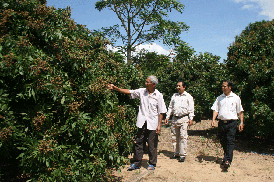 Đẩy mạnh công tác tạo nguồn và phát triển đảng viên